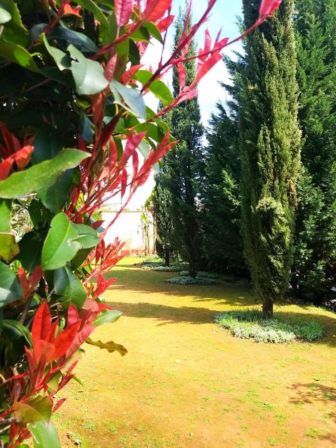 Hotel Italiano Ferreira do Zêzere Esterno foto